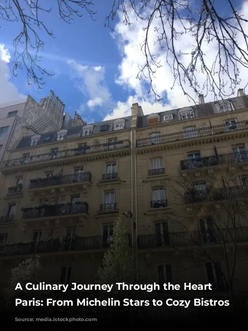 A Culinary Journey Through the Heart of Paris: From Michelin Stars to Cozy Bistros