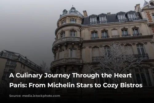 A Culinary Journey Through the Heart of Paris: From Michelin Stars to Cozy Bistros