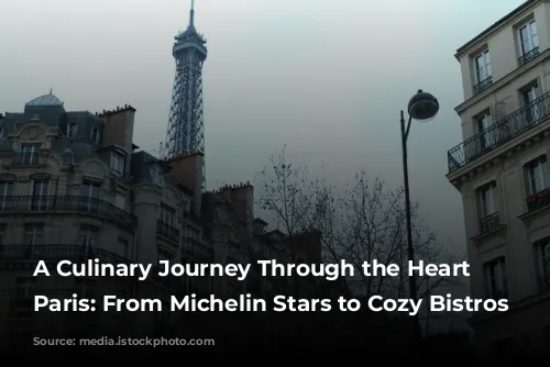 A Culinary Journey Through the Heart of Paris: From Michelin Stars to Cozy Bistros