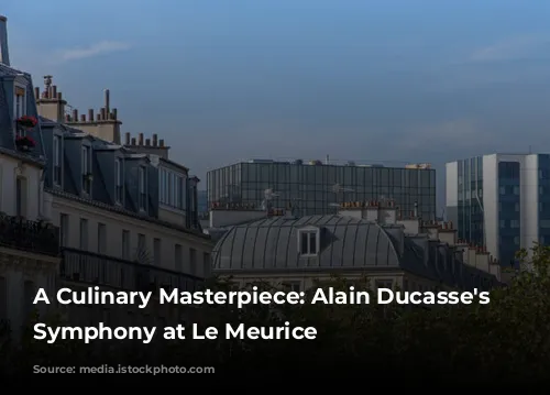 A Culinary Masterpiece: Alain Ducasse's Gastronomic Symphony at Le Meurice