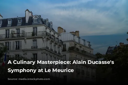 A Culinary Masterpiece: Alain Ducasse's Gastronomic Symphony at Le Meurice