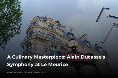 A Culinary Masterpiece: Alain Ducasse's Gastronomic Symphony at Le Meurice