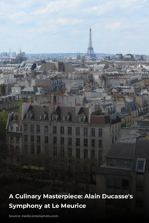 A Culinary Masterpiece: Alain Ducasse's Gastronomic Symphony at Le Meurice