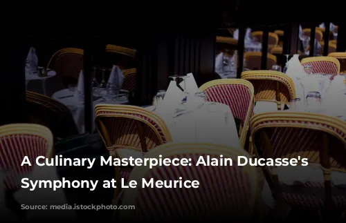 A Culinary Masterpiece: Alain Ducasse's Gastronomic Symphony at Le Meurice