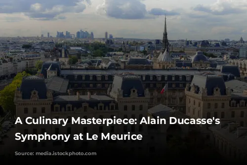 A Culinary Masterpiece: Alain Ducasse's Gastronomic Symphony at Le Meurice