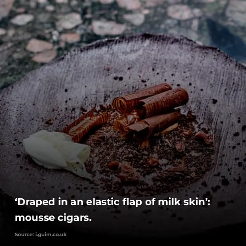 ‘Draped in an elastic flap of milk skin’: chocolate mousse cigars.