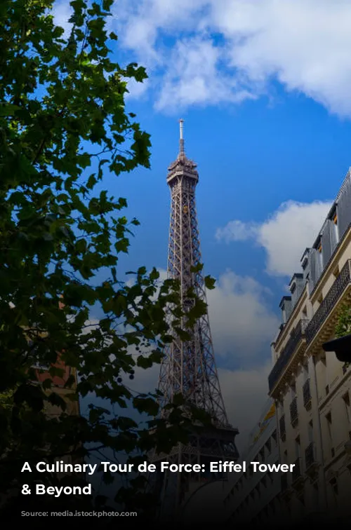 A Culinary Tour de Force: Eiffel Tower Views & Beyond