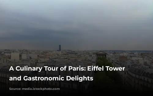 A Culinary Tour of Paris: Eiffel Tower Views and Gastronomic Delights