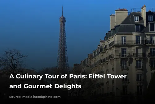 A Culinary Tour of Paris: Eiffel Tower Views and Gourmet Delights