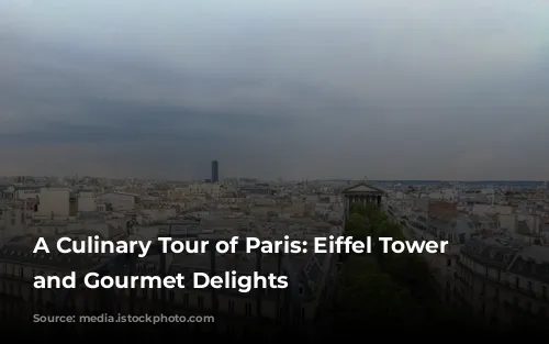 A Culinary Tour of Paris:  Eiffel Tower Views and Gourmet Delights