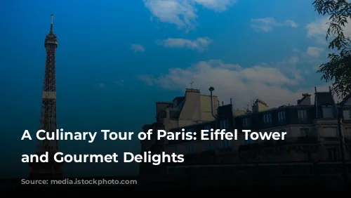 A Culinary Tour of Paris:  Eiffel Tower Views and Gourmet Delights