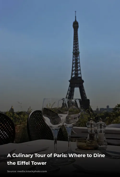 A Culinary Tour of Paris: Where to Dine Near the Eiffel Tower