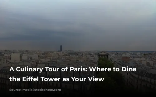 A Culinary Tour of Paris: Where to Dine with the Eiffel Tower as Your View