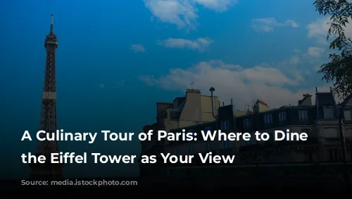 A Culinary Tour of Paris: Where to Dine with the Eiffel Tower as Your View