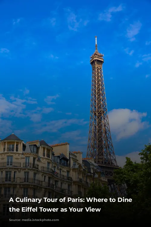 A Culinary Tour of Paris: Where to Dine with the Eiffel Tower as Your View