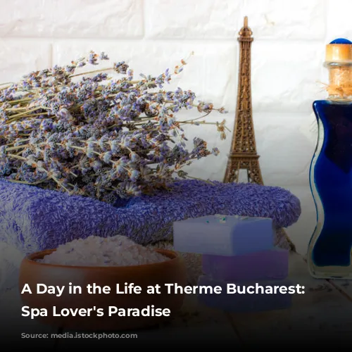 A Day in the Life at Therme Bucharest: A Spa Lover's Paradise