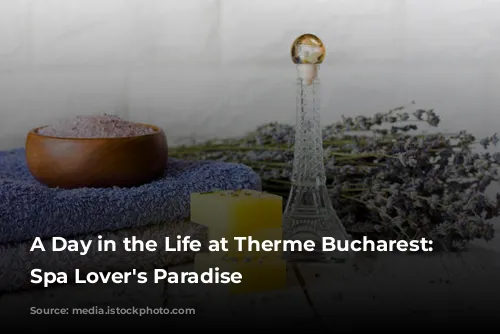 A Day in the Life at Therme Bucharest: A Spa Lover's Paradise