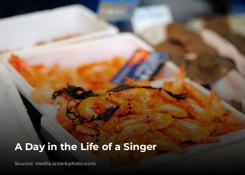 A Day in the Life of a Singer