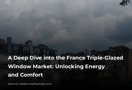 A Deep Dive into the France Triple-Glazed Swing Window Market: Unlocking Energy Efficiency and Comfort