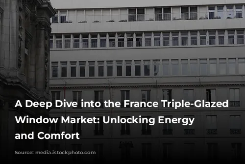 A Deep Dive into the France Triple-Glazed Swing Window Market: Unlocking Energy Efficiency and Comfort