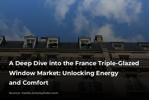 A Deep Dive into the France Triple-Glazed Swing Window Market: Unlocking Energy Efficiency and Comfort