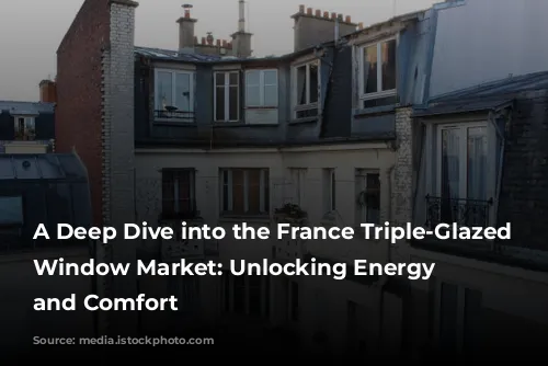 A Deep Dive into the France Triple-Glazed Swing Window Market: Unlocking Energy Efficiency and Comfort