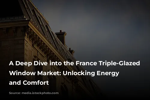 A Deep Dive into the France Triple-Glazed Swing Window Market: Unlocking Energy Efficiency and Comfort