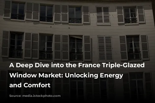 A Deep Dive into the France Triple-Glazed Swing Window Market: Unlocking Energy Efficiency and Comfort