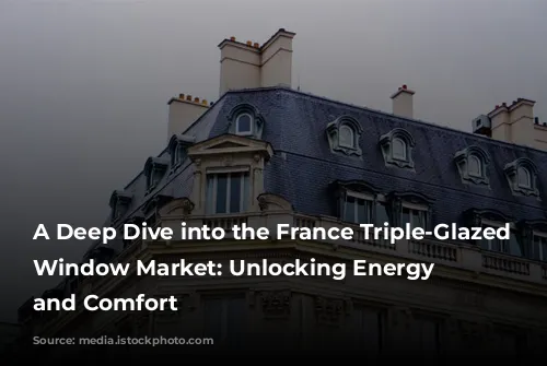 A Deep Dive into the France Triple-Glazed Swing Window Market: Unlocking Energy Efficiency and Comfort