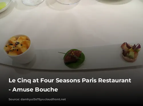 Le Cinq at Four Seasons Paris Restaurant Review - Amuse Bouche