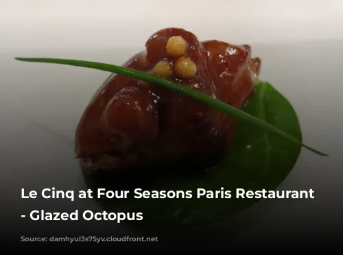 Le Cinq at Four Seasons Paris Restaurant Review - Glazed Octopus