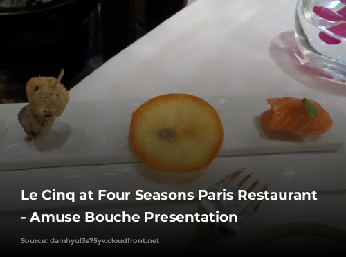 Le Cinq at Four Seasons Paris Restaurant Review - Amuse Bouche Presentation