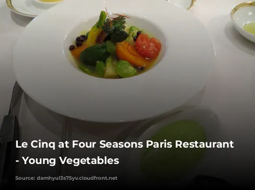 Le Cinq at Four Seasons Paris Restaurant Review - Young Vegetables