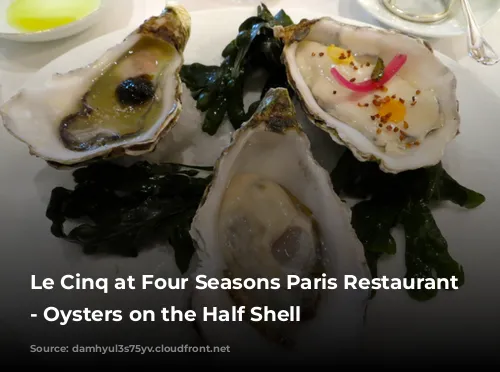 Le Cinq at Four Seasons Paris Restaurant Review - Oysters on the Half Shell