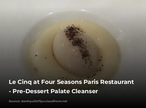 Le Cinq at Four Seasons Paris Restaurant Review - Pre-Dessert Palate Cleanser