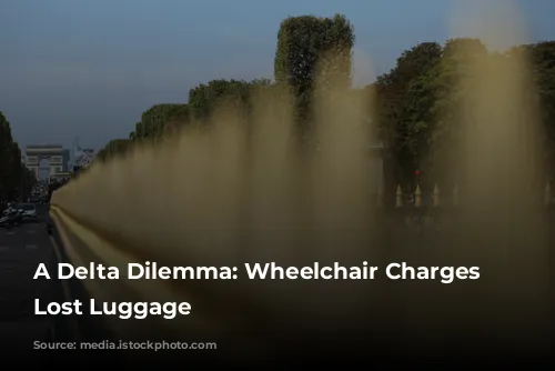 A Delta Dilemma: Wheelchair Charges and Lost Luggage