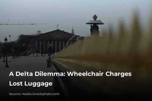 A Delta Dilemma: Wheelchair Charges and Lost Luggage