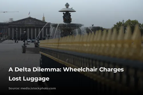 A Delta Dilemma: Wheelchair Charges and Lost Luggage