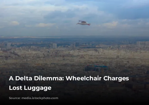 A Delta Dilemma: Wheelchair Charges and Lost Luggage