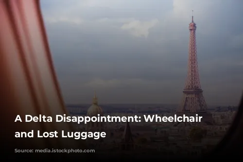 A Delta Disappointment: Wheelchair Charges and Lost Luggage