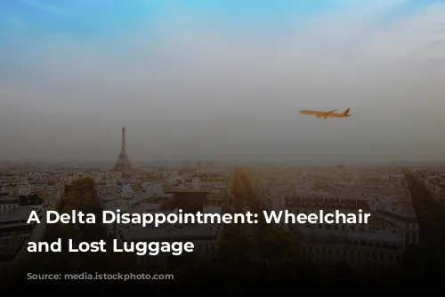 A Delta Disappointment: Wheelchair Charges and Lost Luggage