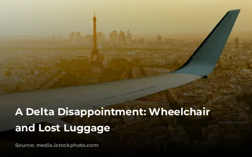 A Delta Disappointment: Wheelchair Charges and Lost Luggage