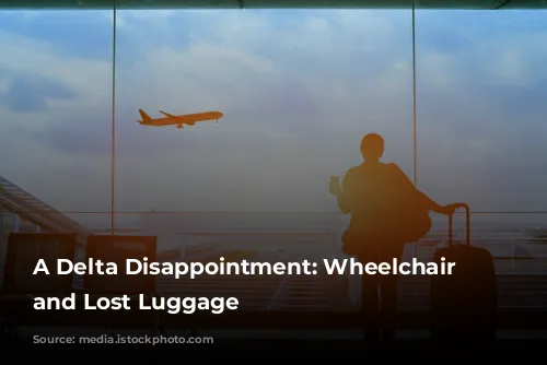 A Delta Disappointment: Wheelchair Charges and Lost Luggage