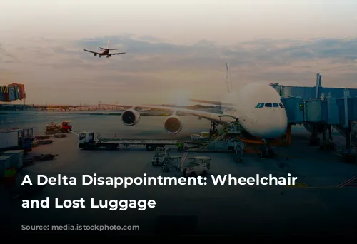 A Delta Disappointment: Wheelchair Charges and Lost Luggage