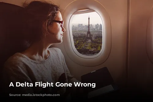 A Delta Flight Gone Wrong