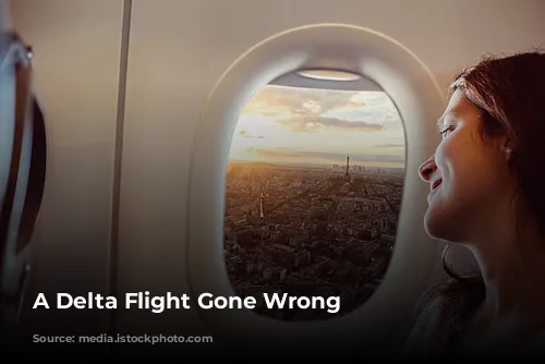 A Delta Flight Gone Wrong