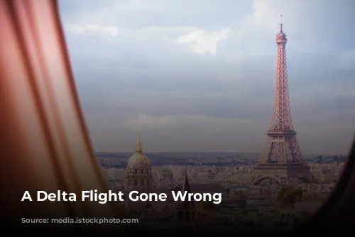 A Delta Flight Gone Wrong