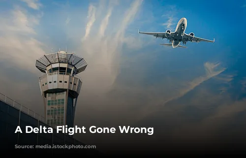 A Delta Flight Gone Wrong