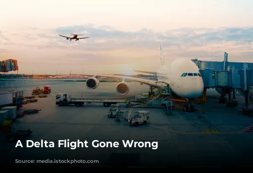 A Delta Flight Gone Wrong