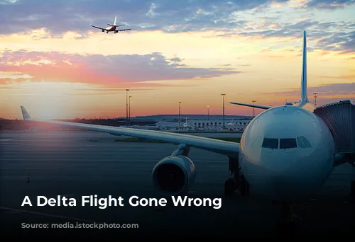 A Delta Flight Gone Wrong